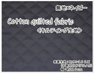 }\yLeBOnzlCr[nyn  w ʉʊw lC OZ[ v[g CX^ jz