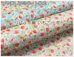 }\y~l[gHzwԁxyn  obN e[u NX  ~l[g J   t[  킢 n z ~l[g ~J GRob