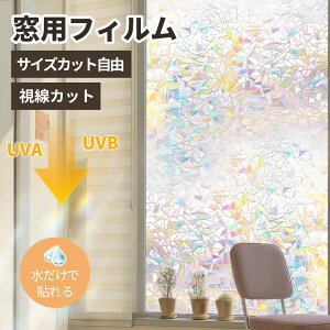 ډBƍ̌𗼗!vCoV[ ی  tB hƑ΍  ډB tB O Ȃ  V[g OJbg tB ͂  V[g ȒP  V[g ȃGl ߓd  