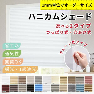 y呋SΉznjJXN[ ˂ Ռ Ռ ̌ J[e I[_[ ȃGl njJVF[h ۉ [XN[  `F[ ς [XN[ J