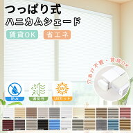 10%OFF【ネジ不要だから壁に優しい】目隠し ロールスクリーン 採光 調光 立体 ロールカーテン UVカット …