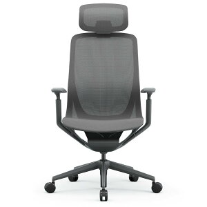 アリア チェア 可動肘ヘッドレスト付き ダークグレー RFARC-001DG-HR