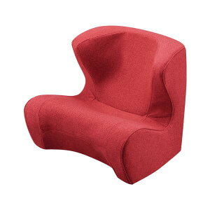 y[J[񂹕izylz\izStyleV[Y Dr. Chair X^ChN^[`FA  ST-DC2039F-R