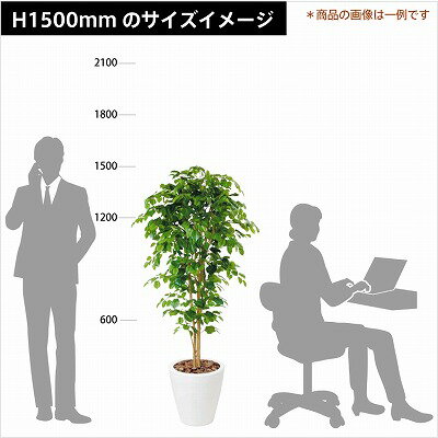 楽天市場 ウンベラータ H1500mm Hbkd 2 004 観葉植物 インテリアグリーン オフィスグリーン フェイクグリーン R F Yamakawa