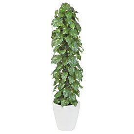 クルシア H1800mm ◆HBKD-2-015　インテリアグリーン　観葉植物　オフィスグリーン　フェイクグリーン