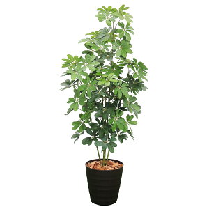 VFt H1500mm HBKD-2-008@ϗtA@ItBXO[@CeAO[@tFCNO[