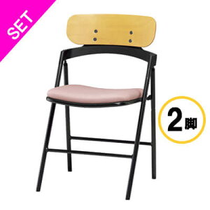 �y���[�J�[���񂹕i�zCF76 �t�H�[���f�B���O�`�F�A�@�X�`�[���p�C�v�i��22.2�j�E��������E�w���F�i�`�������@�z����@�p�E�_�[�s���N�@2�r�Z�b�g��CF76-MYD-PPI-2SET