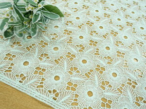 y[Xn hJ n z ݌ɌNAXZ[ziCV[ESʕ[X Ȏ@VA[iRG-28087ncj