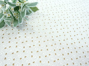 y[Xn hJ n zzȖESʕ[XiRG-29167j