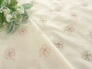 y[Xn hJ n zzȖLubNESʃX|bg[XiRG-29382j