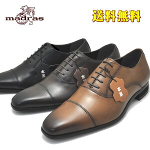 �}�h���X�А�3E MDLorPERRY COLLECTION �{�v �R�C�@�X�g���[�g�`�b�v�@�r�W�l�X�V���[�Y No.4047