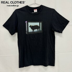 【中古】Supreme/シュプリーム【25SS】Damien Hirst Tee/ダミアンハースト 半袖Tシャツ/S