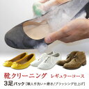 【送料無料】靴クリーニング レギュラーコース3足パック<職人手洗い+磨き/ブラッシング仕上げ>