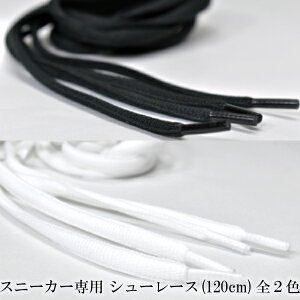 SALEN[|V[[X Xj[J[ p ۂЂ 120cm / CR pi ^C fB[X Y jZbNX { Y ubN zCg   x[VbN Vv^