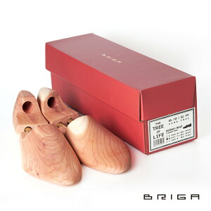  BRIGAiuKjV[gD[ [t@[ ^Cv TCYFXSASAMAL 0030ACHOLE Y fB[X m F  ؐ c[ L[p[ C^ h L L } z C z v C