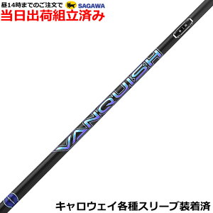 ygρzy14܂ł̂őoׁz LEFC ELYTEeΉX[u VANQUISH @LbV@OH