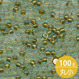 MIYUKI シードビーズ 丸小 11/0 約2mm #229 オリーブグリーンライン(アクア中染) 100グラムバラ (20グラムパック×5個) 約11,000粒入り ミユキビーズ