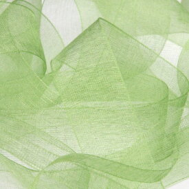 オーガンジーリボン 25mm グラスグリーン 9.14M巻 手芸 服飾 ラッピング FUJIYAMA RIBBON
