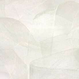 オーガンジーリボン 25mm ライトクリーム 9.14M巻 手芸 服飾 ラッピング FUJIYAMA RIBBON
