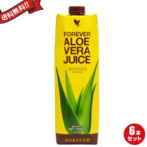 y}\I100~N[|Iw2{IztH[Go[ AGxW[X(tH[Go[rOv_NcjFOREVER FLP 1000ml 6{Zbg