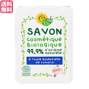 y11/1(y)I|Cgő8{Iz Ό ΂ VK[rI I[KjbN\[vi[Y}[j100g 