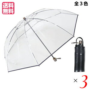 y11/15(y)IyVJ[hŃ|Cgő12{Izrj[P  v ܂肽݃rj[P A}`58 S3F 3{Zbg