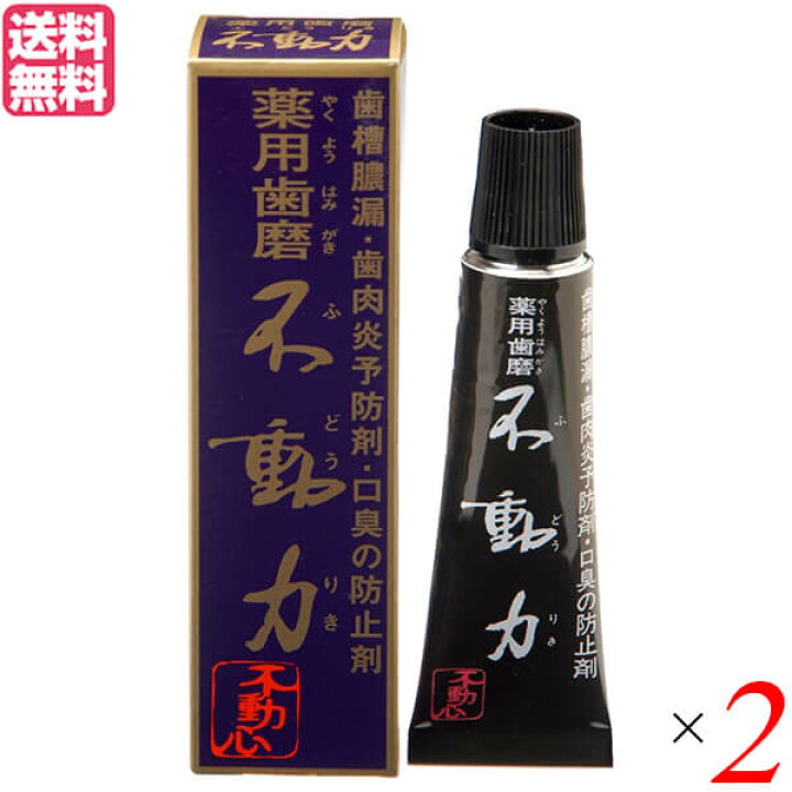 楽天市場 歯磨き ハミガキ 歯磨き粉 美の友 薬用自然派はみがき 不動力 35g 医薬部外品 2個セット 送料無料 バレンタイン ギフト プレゼント リボン通販