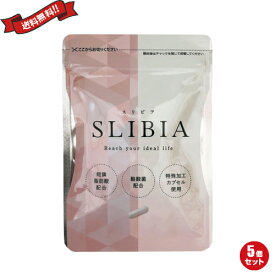 乳酸菌 酪酸菌 サプリ スリビア 30粒 5袋セット バレンタイン ギフト プレゼント