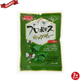 プロポリス キャンディー のど飴 森川健康堂 プロポリスキャンディー 100g 2袋セット