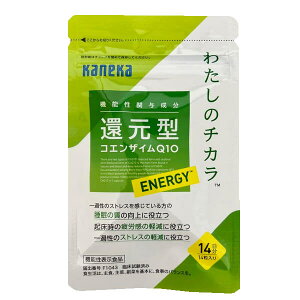 JlJ Ҍ^RGUCQ10 킽̃`J ENERGY 30 @\\Hi