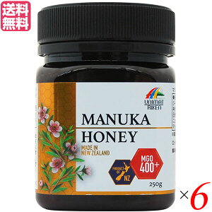 �y12/15(��)����I�y�V�J�[�h�Ń|�C���g�ő�12�{�I�z�}�k�J�n�j�[ MGO400+ �}���`�t���[���� 250g ���j�}�b�g���P�� 6�Z�b�g ��������