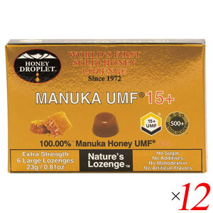 y300|CgRIz}kJnj[ LfB ̂ǈ nj[hbvbg }kJnj[UMF15+îǈj18g/6 12Zbg nj[Wp