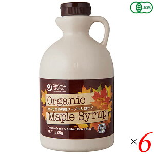 yC[OXӍՁI|Cgő5{Iz[vVbv I[KjbN 1L I[T̗L@[vVbv Ao[ib`eCXgj1L(1320g) 6{Zbg 