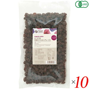 y11/1(y)I|Cgő8{Iz[Y hCt[c I[KjbN I[T̗L@JtHjA[Y 500g 10Zbg 