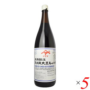 yVRz Bۑ哤傤 1.8L 5{Zbg  `@ Zݖ