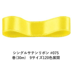 VOTe{ #075 CG[ 6mm (30m)@9TCY120FWJ@nhCh DIY | Ntg ޗ  CN Ribbon Bon