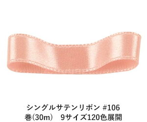 VOTe{ #106 VFsN 24mm (30m)@9TCY120FWJ@nhCh DIY | Ntg ޗ  CN Ribbon Bon