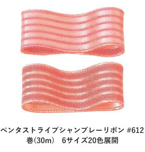 y^XgCvVu[{ #612 9mm (30m)@6TCY20FWJ@nhCh DIY | Ntg ޗ  CN Ribbon Bon