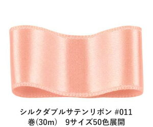 VN_uTe{ #011 s[`pt 24mm (30m)@9TCY50FWJ@nhCh DIY | Ntg ޗ  CN Ribbon Bon