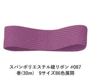 Xp|GXe{ #087 19mm (30m)@9TCY86FWJ@nhCh DIY | Ntg ޗ  CN Ribbon Bon