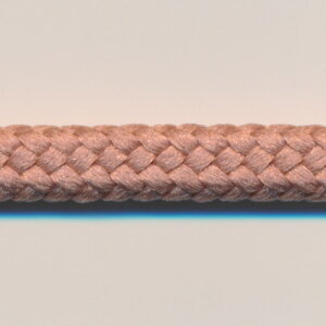 SIC |GXeXshR[h C/#56 - 121  | SHINDO