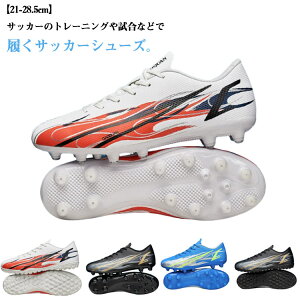 lH TF TbJ[V[Y l C WjA K y Y Xj[J[ 싅 LbY XpCNV[Y V[Y Y X|[c ^C TbJ[ ~ jp JWA g[