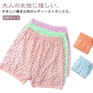 gNX  nCEGXg fB[X 5Zbg _炩  pc Ci[ V[c Lk  p ʋC Vv ɗD K n gNX  ߕtȂ EG