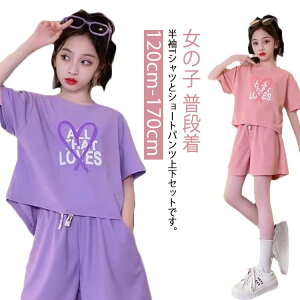 q ZbgAbv  ̎q  TVc V[gpc ㉺Zbg ZbgAbv W[W gbvX Y{  JWA ][g LbY WjA ǂ  i ʊw