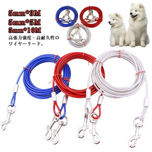 Kтɂ ؂Ȃ[h p[h C[[h ̎U XeX `[u [h ^ ^ C[ 5M C[[h hbO[h O[h 10M C[[h 