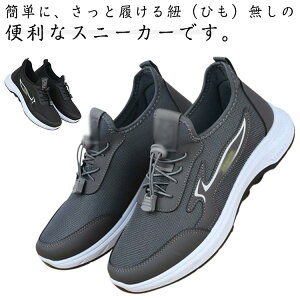 Xj[J[ Y y ʋC Xb| h L jOV[Y ꂸ EH[LOV[Y X|[cV[Y JWA EH[LO WjA ʋ ʊw e͐ ʋC ^