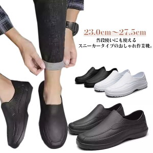 RbNV[Y h Lb`V[Y CV[Y Y fB[X jp Ɩp ƌC y \tgRbNV[Y ϖ ~[  ƌC HiHp HX Lb` 