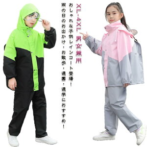 CR[g LbY CX[c hZΉ ] ʊw bN CR[g ㉺Zbg w w J Jbp H CEFA Zp[g AEghA ̎q j̎q W