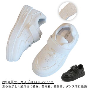 _XV[Y X|[c C  Xj[J[ LbY JWA V[Y q Cxg K n jp ^C i w ʉ ʊw y  qC LbY _X ʋC hL 