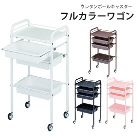 【3/11 23:59までクーポン利用で10％OFF】理美容 ワゴン キャスター付き ワゴン 美容室 ネイル 特価 西村製作所 C-225カラーワゴン 4色から選べます